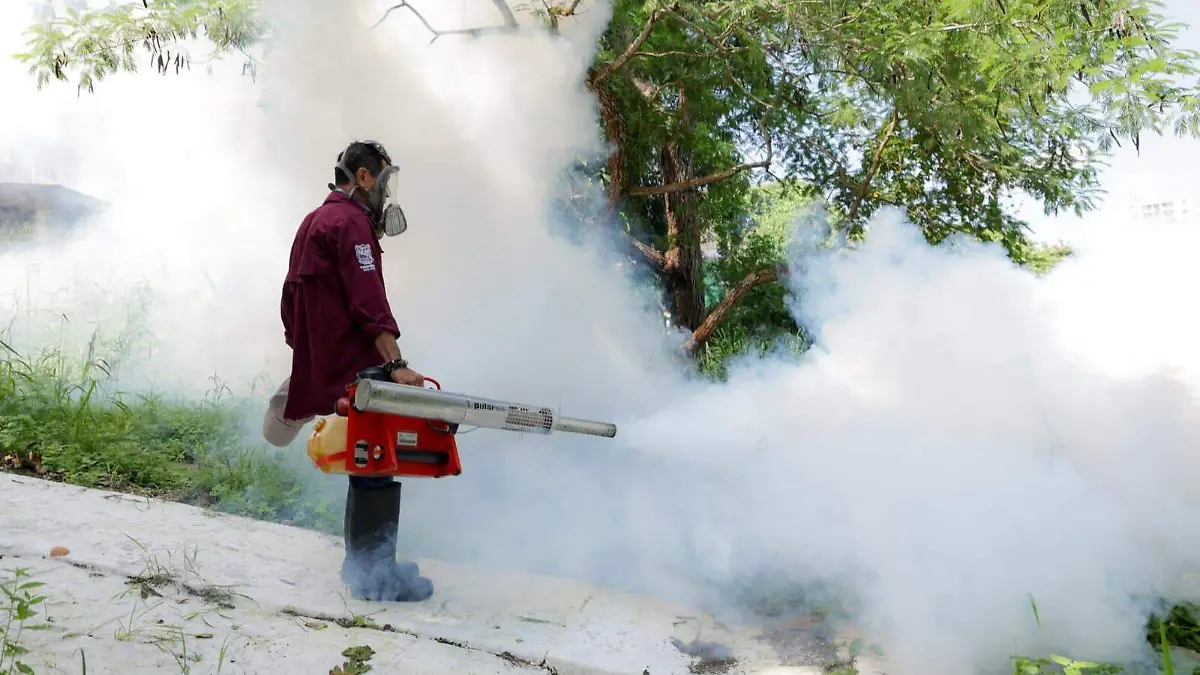 Limpieza, fumigación y vigilancia reducen casos de dengue en Tamaulipas