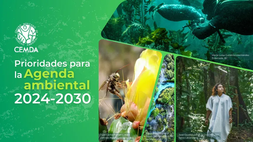 Agenda ambiental abre oportunidades para turismo responsable en costas mexicanas