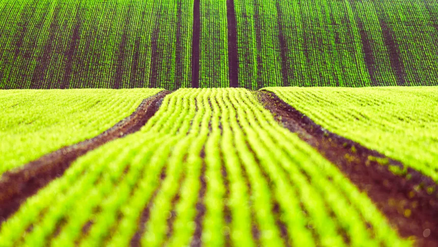 El campo mexicano impulsa productividad con crédito y asistencia técnica