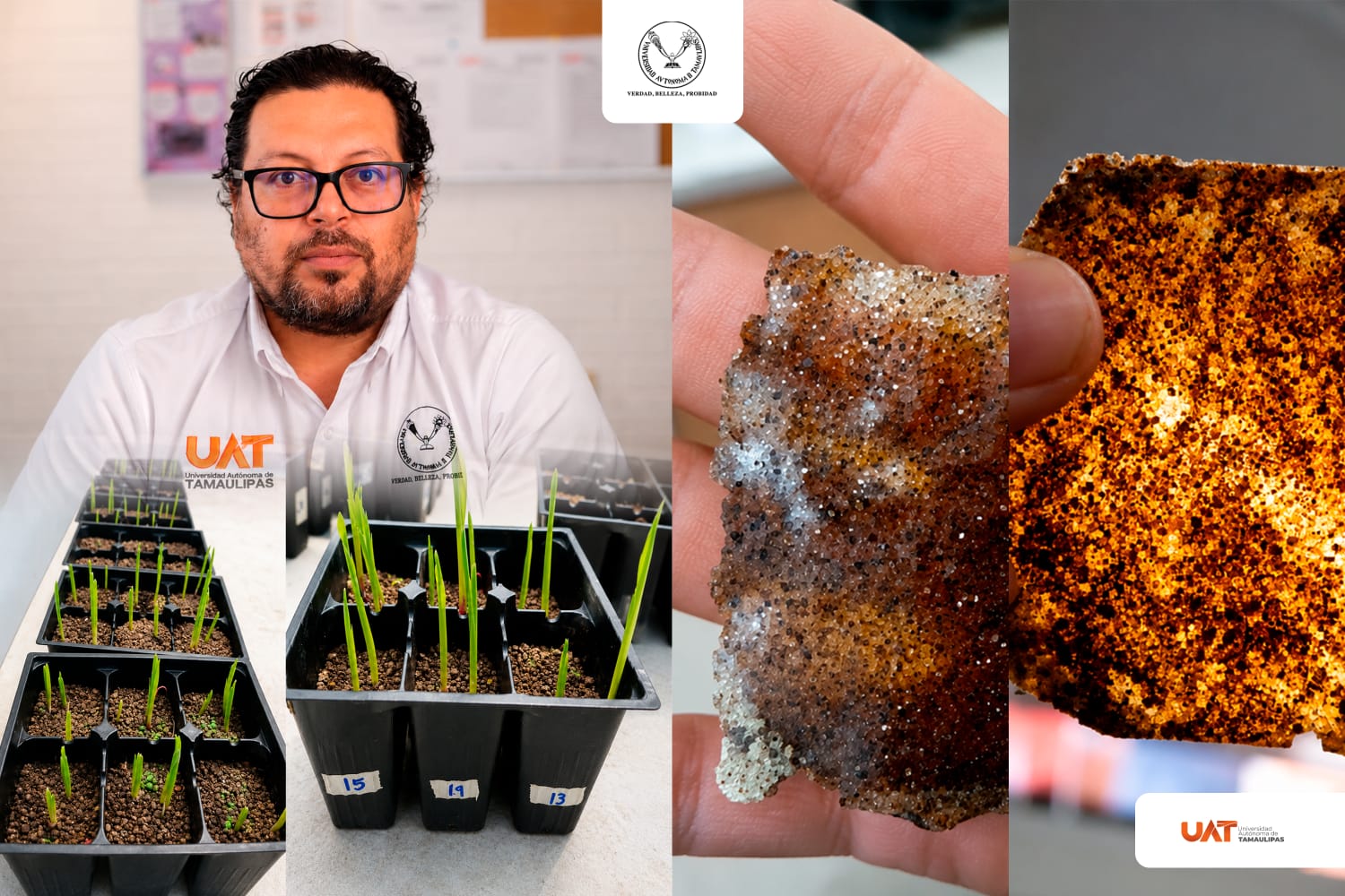 UAT obtiene patente por biomaterial para recuperar suelos erosionados